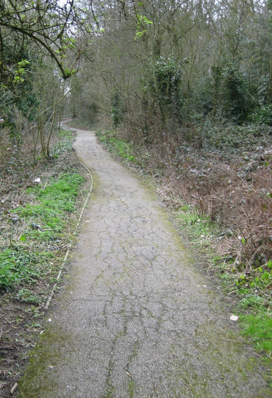 Path, Streatham Common